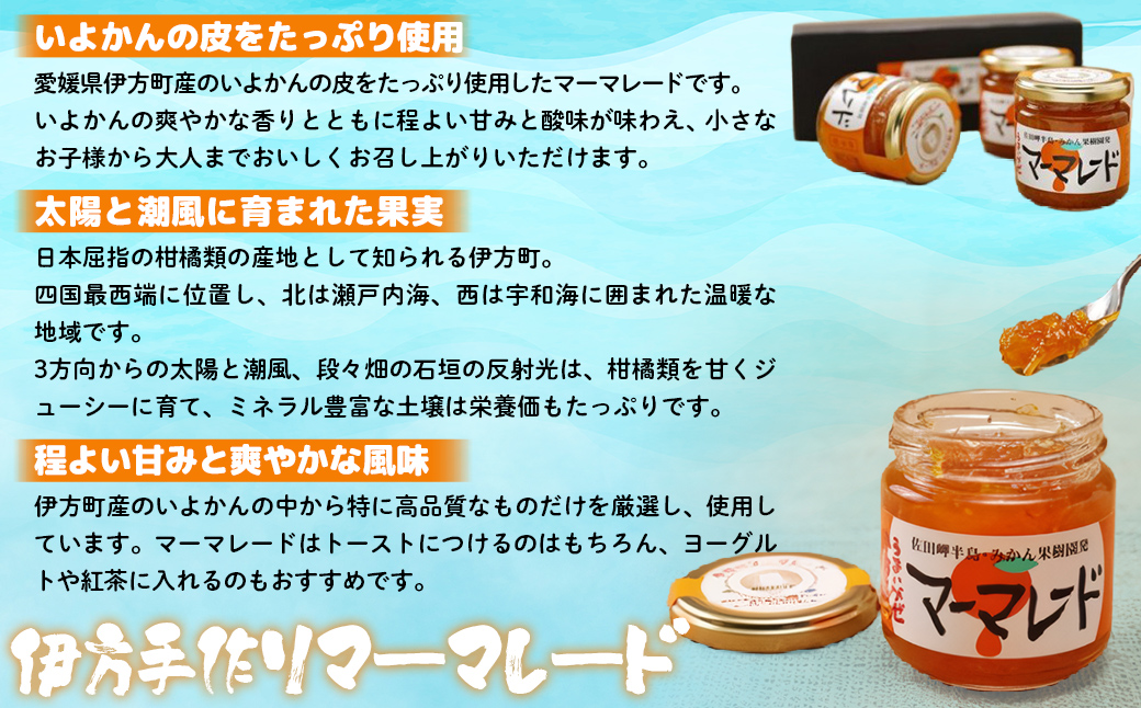 【愛媛県産】うまいがぜ伊方手作りマーマレード（200g×3個） IKTI012