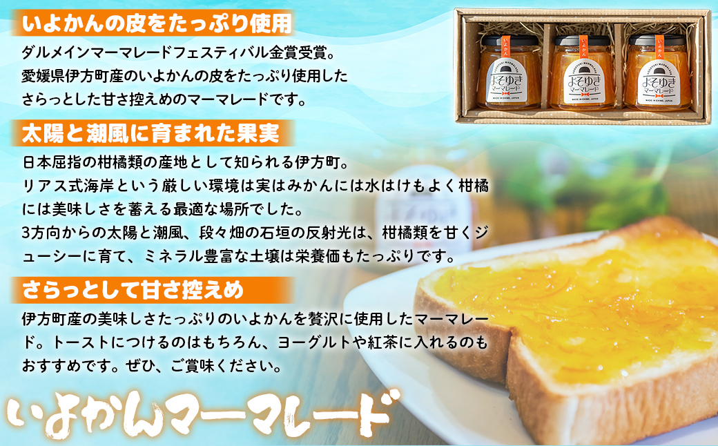 いよかんマーマレード「よそゆき」3点セット 【ダルメインマーマレードフェスティバル金賞受賞】※離島への配送不可 IKTI015