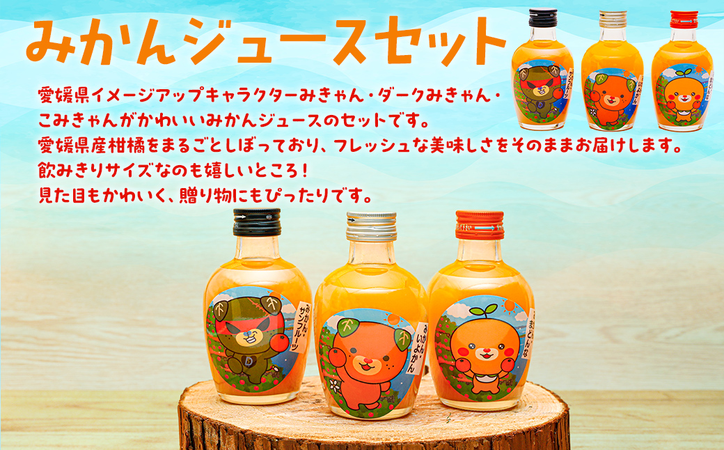 【先行予約】みかんジュースセットＢ 200ml×12本 ※北海道、沖縄・離島への配送不可（2025年12月より発送予定） IKTI019