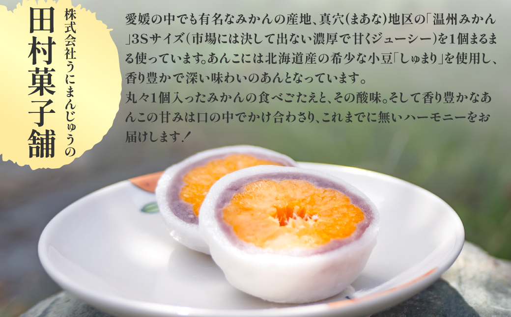 八寿みかん大福3個セット IKTK005