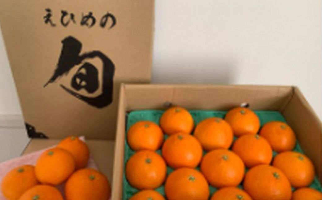 【先行予約】【数量限定】＼農園直送／愛媛県産 愛果28号 3kg×1箱（2025年12月中旬より順次発送） 【ふるさと納税 人気 おすすめ ランキング 柑橘 みかん ミカン 蜜柑 愛果28号 紅 まどんな と同品種 果物 フルーツ 岡市農園 愛媛県産 愛媛県 伊方町 送料無料】 IKTV003