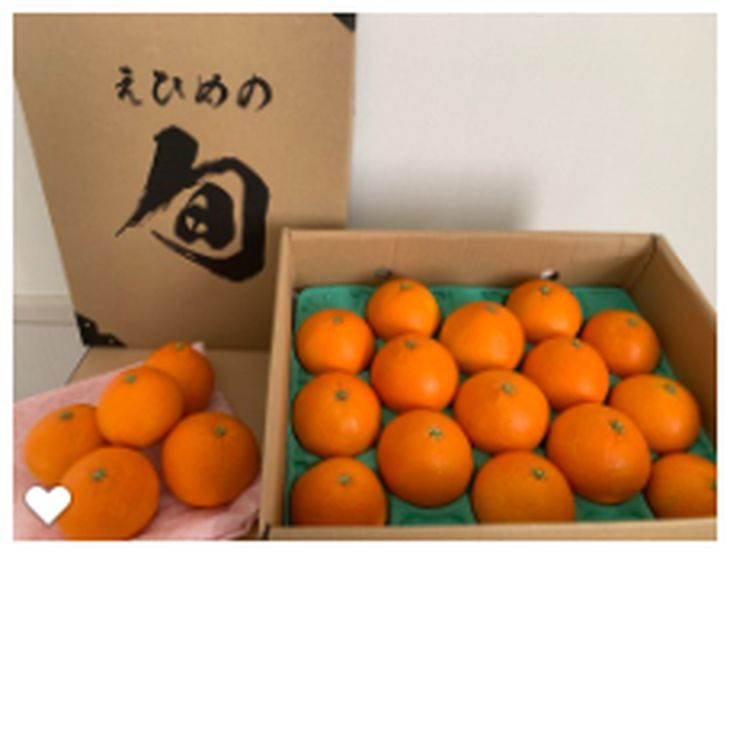 【先行予約】【数量限定】＼農園直送／愛媛県産 愛果28号（特選） 3kg×1箱（2025年12月中旬より順次発送） 【ふるさと納税 人気 おすすめ ランキング 柑橘 みかん ミカン 蜜柑 愛果28号 紅 まどんな と同品種 果物 フルーツ 岡市農園 愛媛県産 愛媛県 伊方町 送料無料】 IKTV004