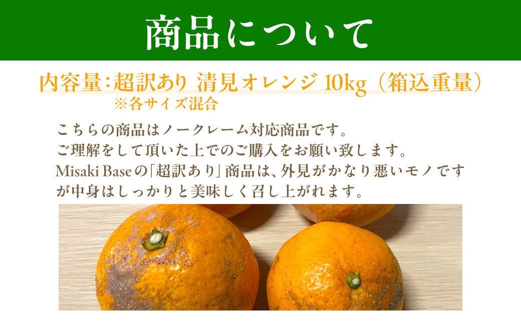 【先行受付】【※超訳あり】清見オレンジ 10kg ※離島への配送不可（2026年3月中旬より順次発送） IKTAB010