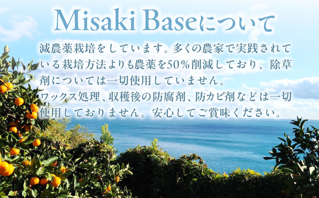 【先行受付】【数量限定】【山採り無選別】はるみ 5kg ※離島への配送不可（2026年2月より順次発送） IKTAB011