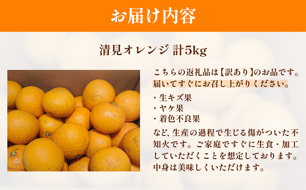 【先行予約】訳あり 清見オレンジ計5kg ※離島への配送不可（2026年3月上旬頃より順次発送予定） IKTAC008