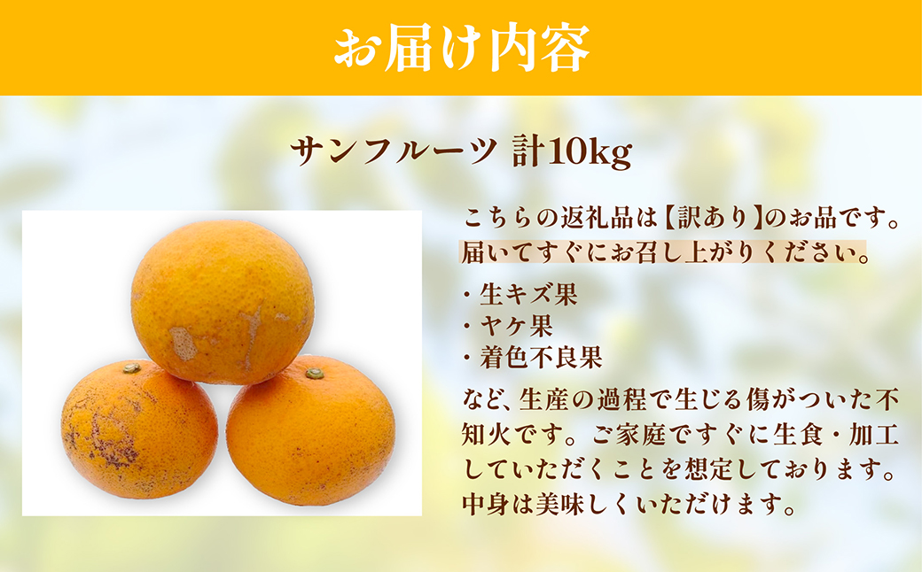 【先行予約】【訳あり】浅野農園のサンフルーツ 10kg ※離島への配送不可（2026年3月中旬頃より順次発送予定）
