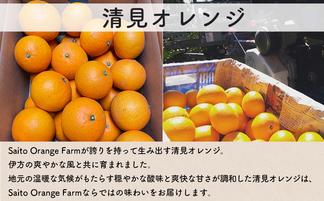 【先行予約】Saito Orange Farmの訳あり清見オレンジ5kg（2026年3月中旬頃より順次発送） IKTAQ009