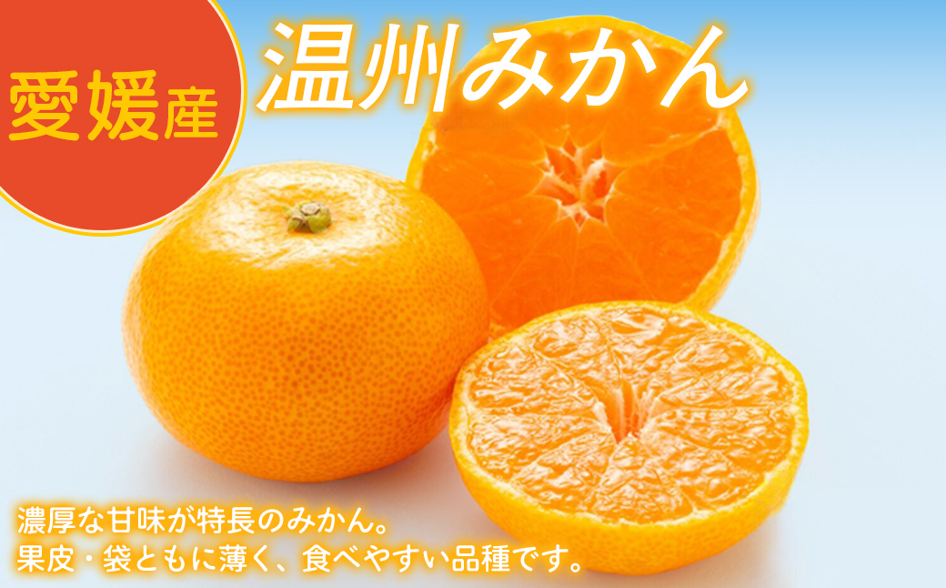 Premiumみかんジュース（2本セット）※北海道・沖縄・離島への配送不可 IKTAT002