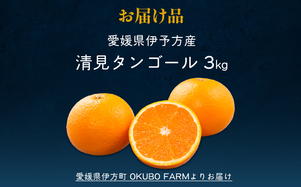 【先行予約】【家庭用】清見タンゴール 3kg ※北海道・沖縄・離島への配送不可（2026年3月中旬より順次発送）  【ふるさと納税 人気 おすすめ ランキング 柑橘 みかん ミカン 清見タンゴール 清見 フルーツ 果物 OKUBO FARM 愛媛県産 家庭用 愛媛県 伊方町 送料無料】 IKTAT005
