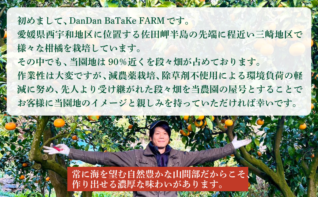 清見オレンジジュース 720ml×3本 ※離島への配送不可 IKTAU013