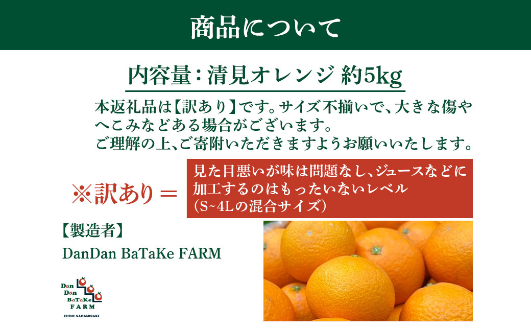 【訳あり】清見オレンジ 約5kg IKTAU015