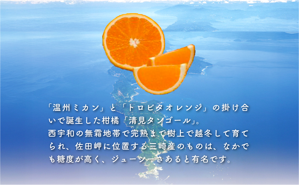 【先行予約】清見タンゴール（貯蔵・生果5kg）※離島への配送不可（2026年4月下旬より順次発送予定） IKTBD007