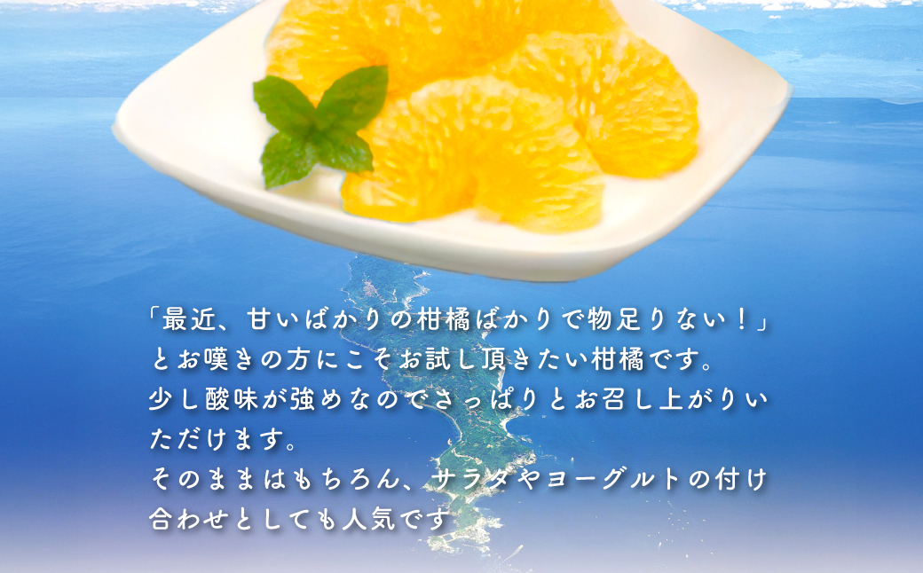 【先行予約】サンフルーツ（生果5kg）※離島への配送不可（2026年2月上旬より順次発送予定） IKTBD013