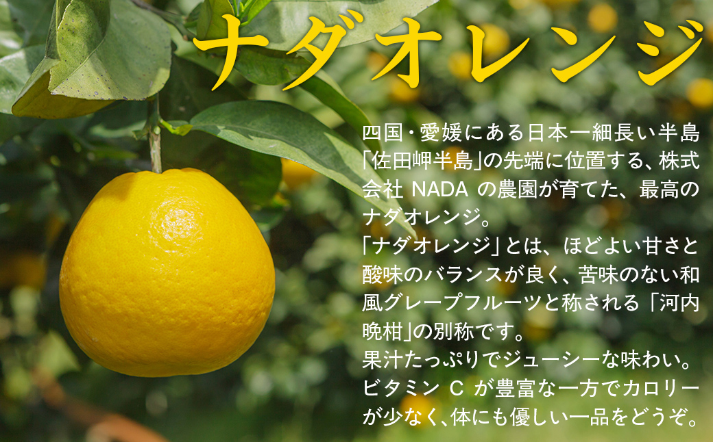 ナダオレンジ(河内晩柑)家庭用9kg（2026年5月中旬より順次発送）  【ふるさと納税 人気 おすすめ ランキング 柑橘 蜜柑 みかん ミカン 果物 フルーツ 河内晩柑 ナダオレンジ オレンジ 家庭用 愛媛県 伊方町 送料無料】 IKTC019