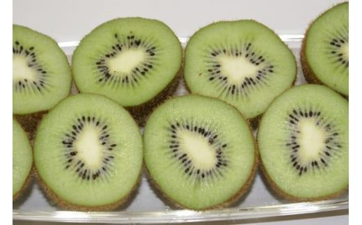 【先行予約】キウイフルーツ（生果）3kg（2025年11月上旬より順次発送）  IKTF024