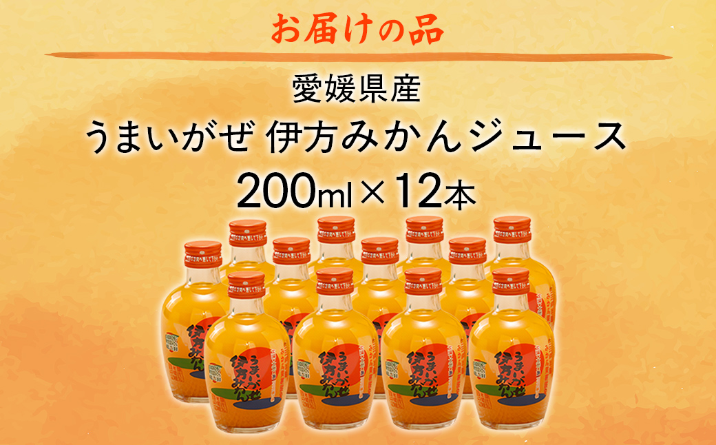 【先行予約】【愛媛県産】うまいがぜ伊方みかんジュース（200ml×12本） ストレート果汁100％ （2025年12月より順次発送）  IKTI006
