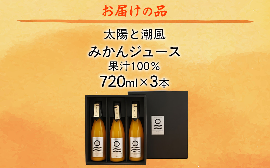 【先行予約】【愛媛県産】太陽と潮風みかんジュース（720ml×3本） 果汁100％（2025年12月より発送予定） IKTI010