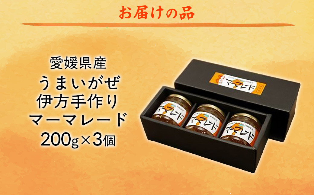 【愛媛県産】うまいがぜ伊方手作りマーマレード（200g×3個） IKTI012