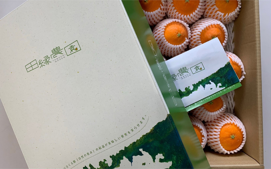 【先行予約】【家庭用】甘平 5kg ※離島への配送不可 （2026年1月25日より順次発送） IKTA031