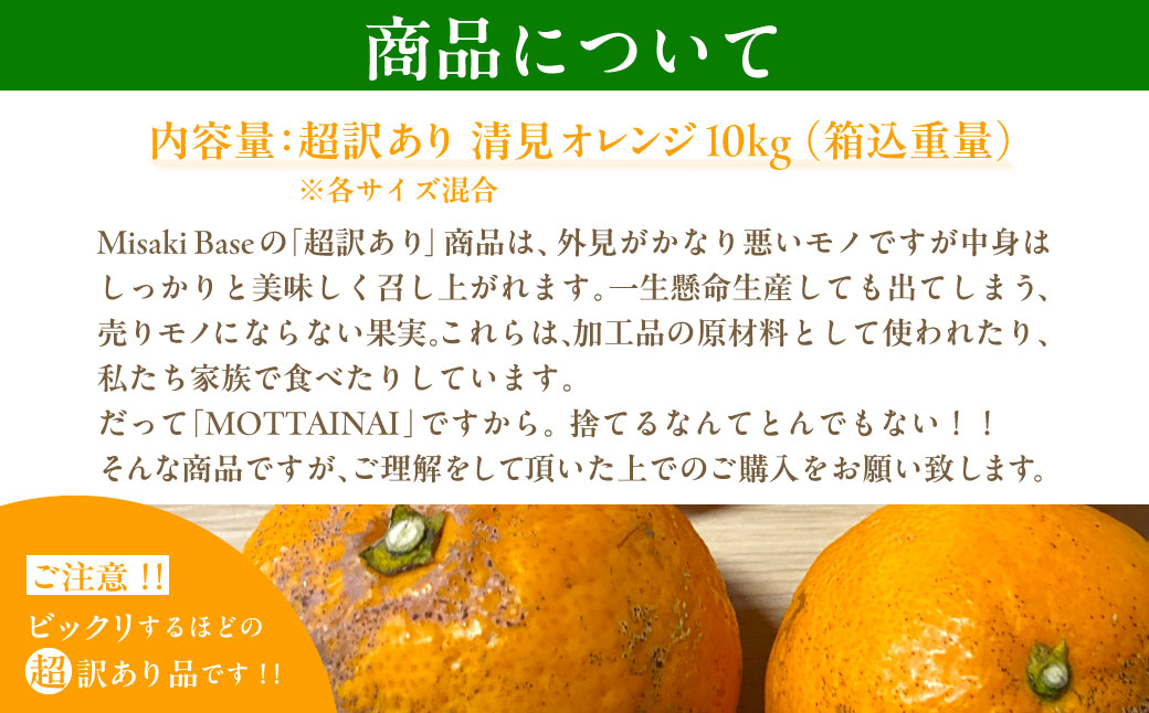 【先行受付】【※超訳あり】清見オレンジ 10kg ※離島への配送不可（2026年3月中旬より順次発送） IKTAB010