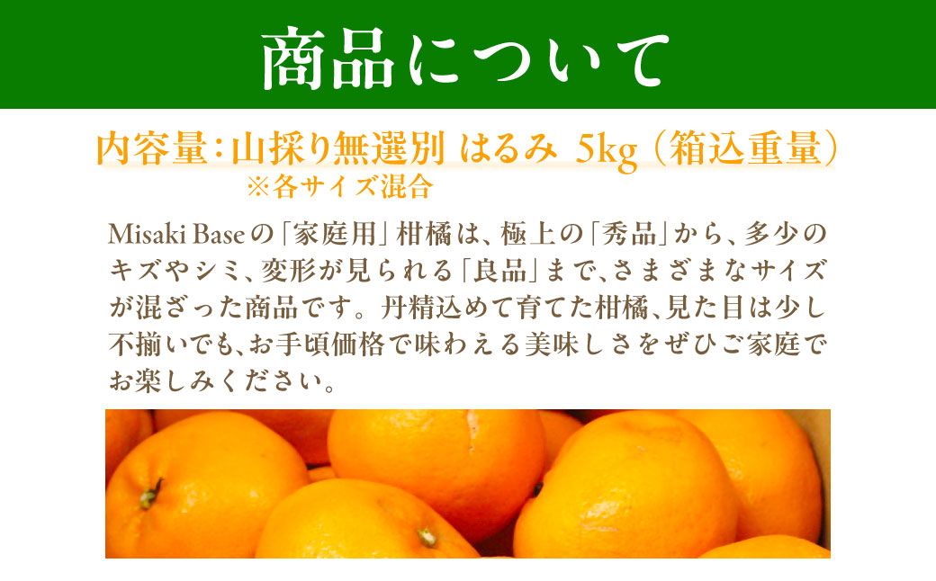 【先行受付】【数量限定】【山採り無選別】はるみ 5kg ※離島への配送不可（2026年2月より順次発送） IKTAB011