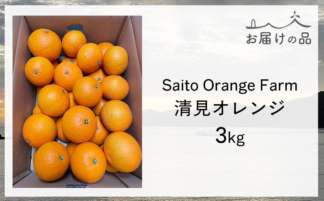 【先行予約】Saito Orange Farmの清見オレンジ3kg ※着日指定不可（2026年3月中旬頃より順次発送） IKTAQ006
