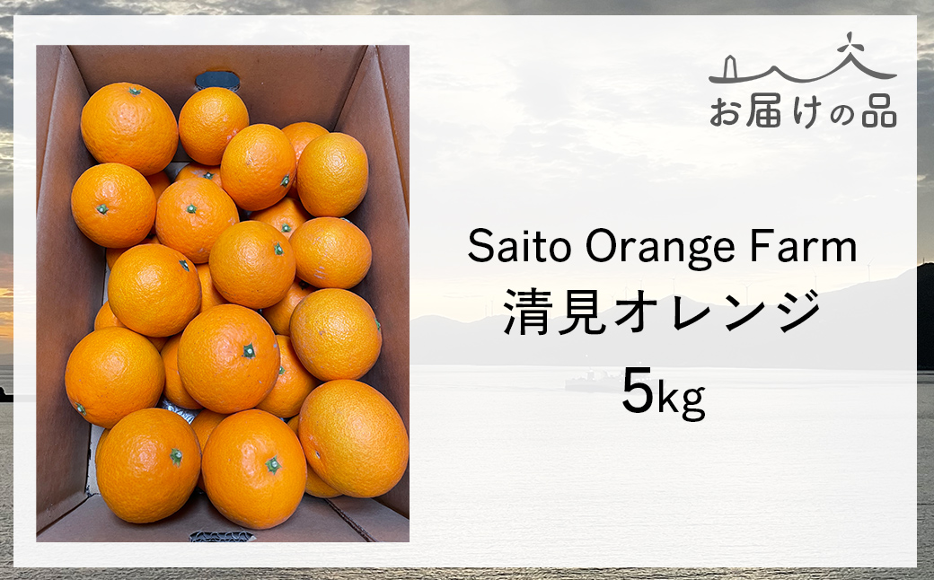 【先行予約】Saito Orange Farmの清見オレンジ5kg（2026年3月中旬頃より順次発送） IKTAQ007