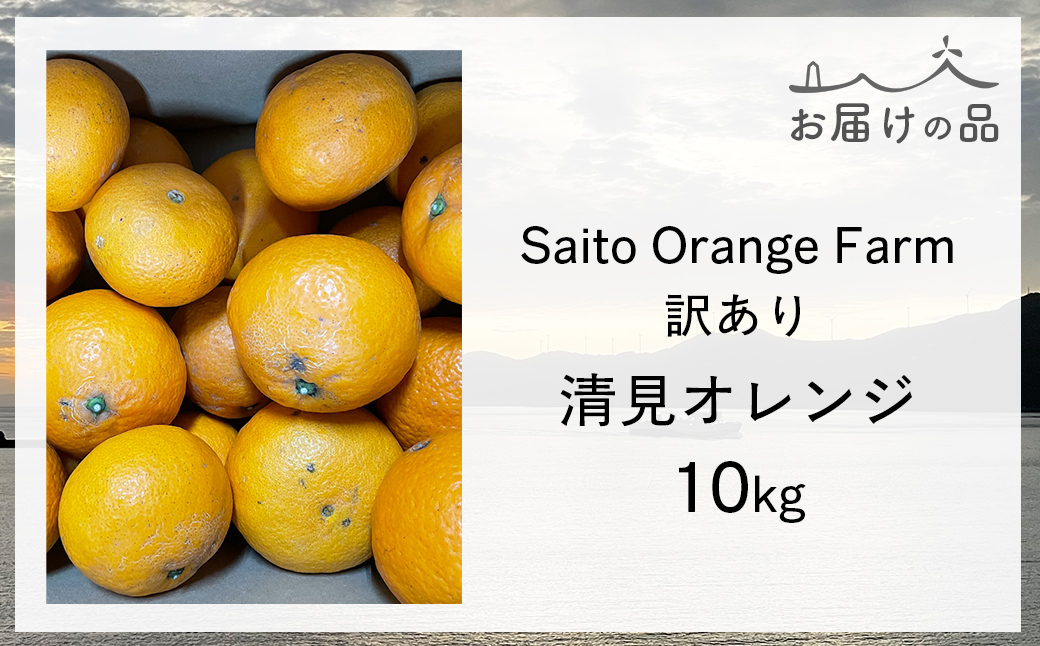 【先行予約】Saito Orange Farmの訳あり清見オレンジ10kg（2026年3月中旬頃より順次発送） IKTAQ010