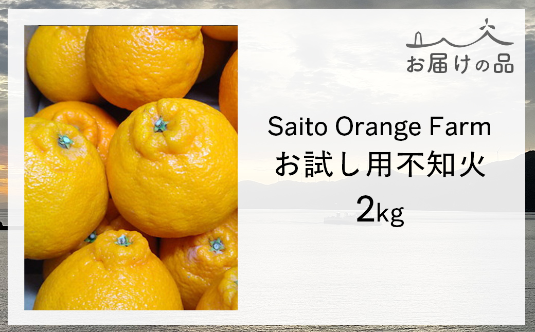 【先行予約】【お試し！】Saito Orange Farmの不知火2kg（2026年2月下旬頃より順次発送） IKTAQ013