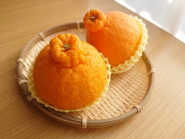 【先行予約】【家庭用】不知火 約5kg | 柑橘 みかん 果物 フルーツ 愛媛県産 農家直送　※離島への配送不可　※2026年2月中旬より順次発送予定  IKTAU008