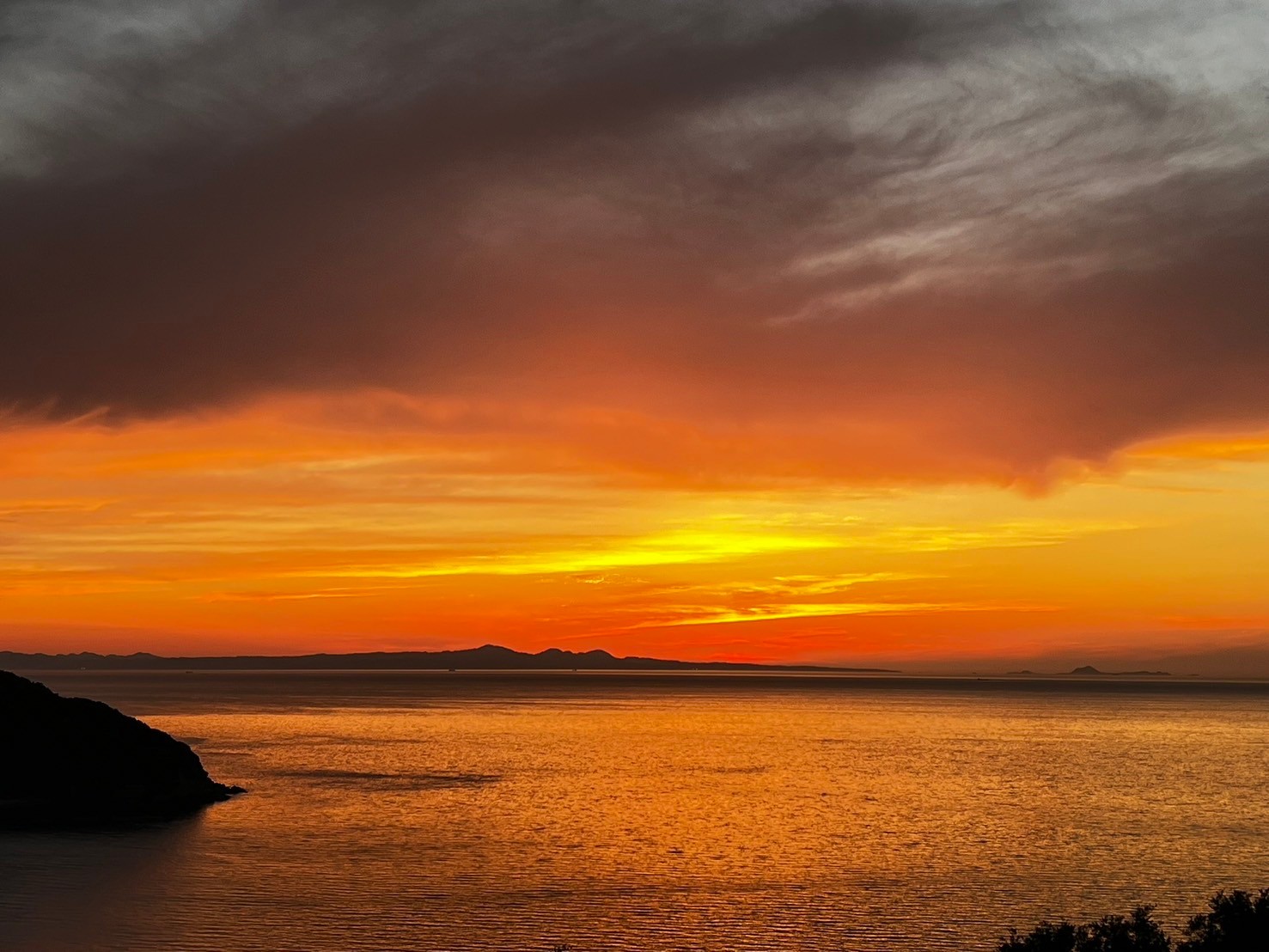 【先行予約】【訳あり】不知火 約10kg | 柑橘 みかん 果物 フルーツ 愛媛県産 農家直送　※離島への配送不可　※2026年2月中旬より順次発送予定  IKTAU009