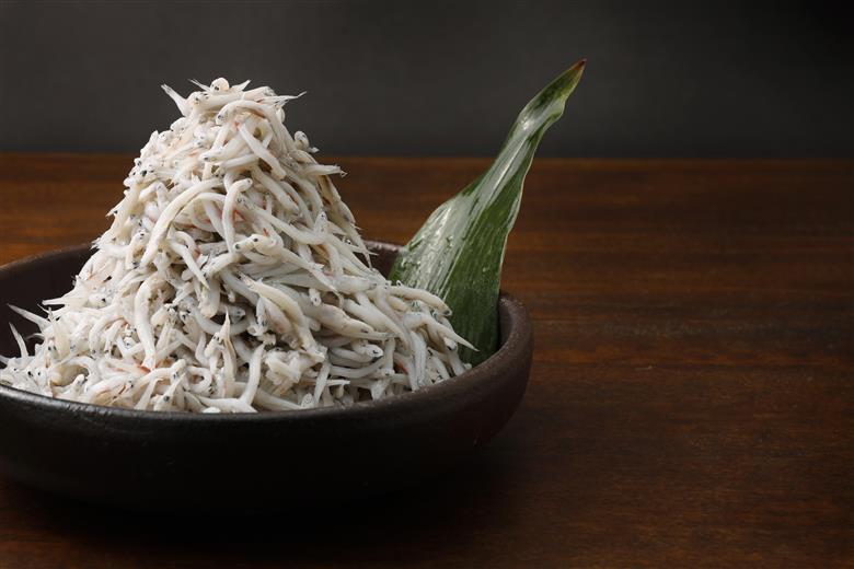 訳ありしらす 1kg IKTB016