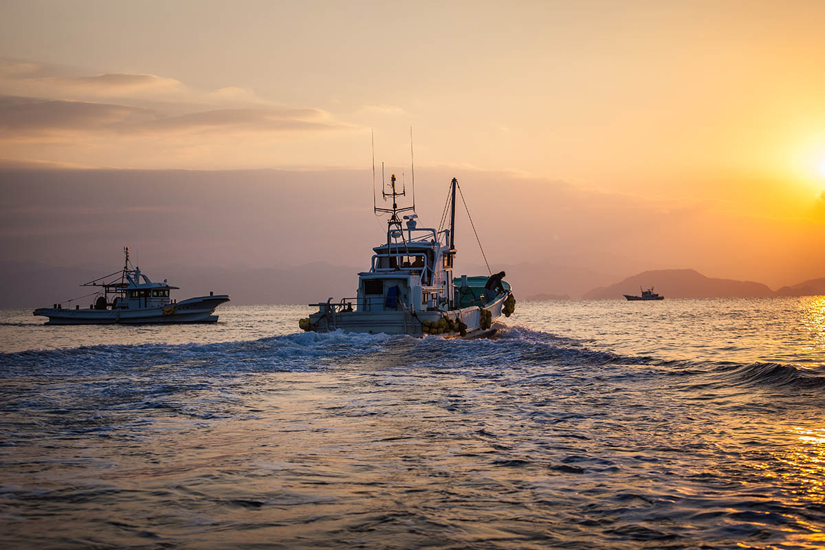 【ご飯のお供に最適】ちりめん佃煮6点セット ｜ 愛媛県 伊方町産 西宇和 ちりめん山椒 おかず ご飯 ご飯のお供 おでかけ おにぎり 　※離島への配送不可  IKTB029