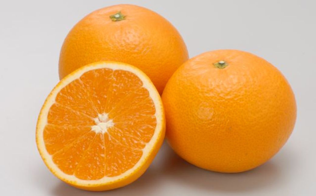 【先行予約】【数量限定】JAにしうわ みつる共選 清見タンゴール 約10kg ※離島への配送不可（2026年3月上旬より順次発送予定） IKTBC009