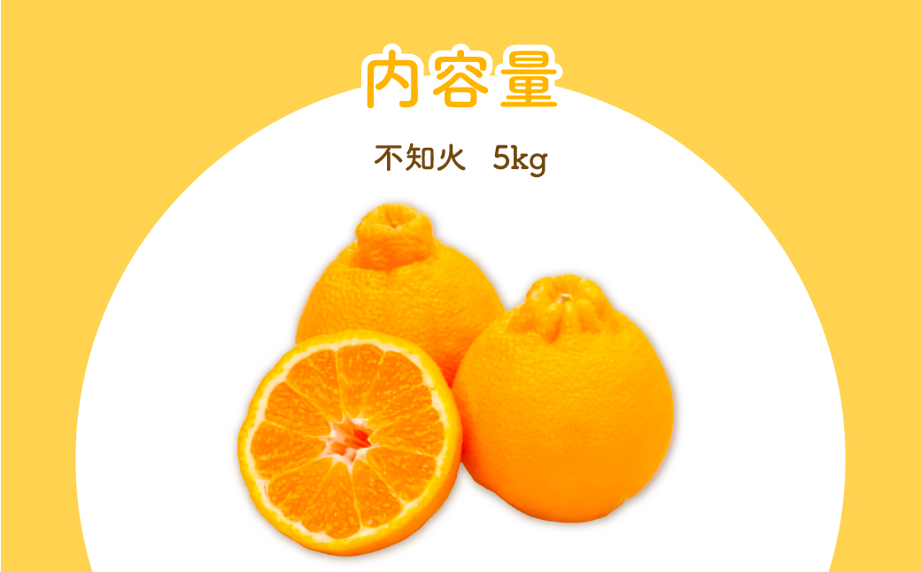 【先行予約】不知火（生果5kg）※離島への配送不可（2026年2月上旬より順次発送予定） IKTBD011