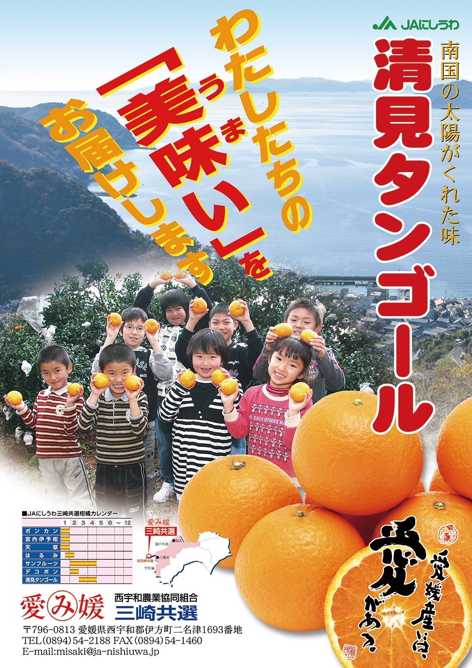 【先行予約】【家庭用】清見タンゴール 5kg ※離島への配送不可（2026年3月上旬より順次発送予定） IKTBD017