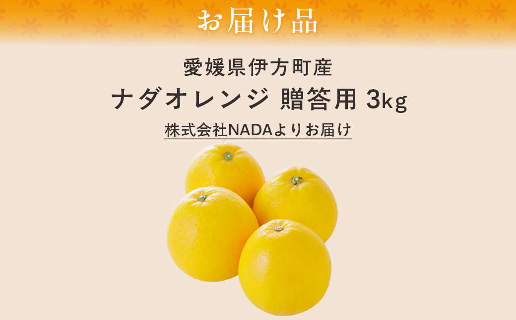 【農家直送】愛媛県産 ナダオレンジ 贈答用 3kg（2026年5月中旬より順次発送予定） IKTC005