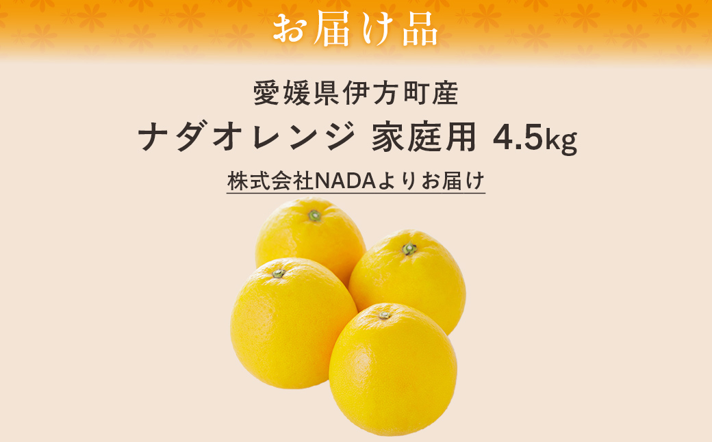 【農家直送】愛媛県産 ナダオレンジ 家庭用 4.5kg（2026年5月中旬より順次発送予定） IKTC006