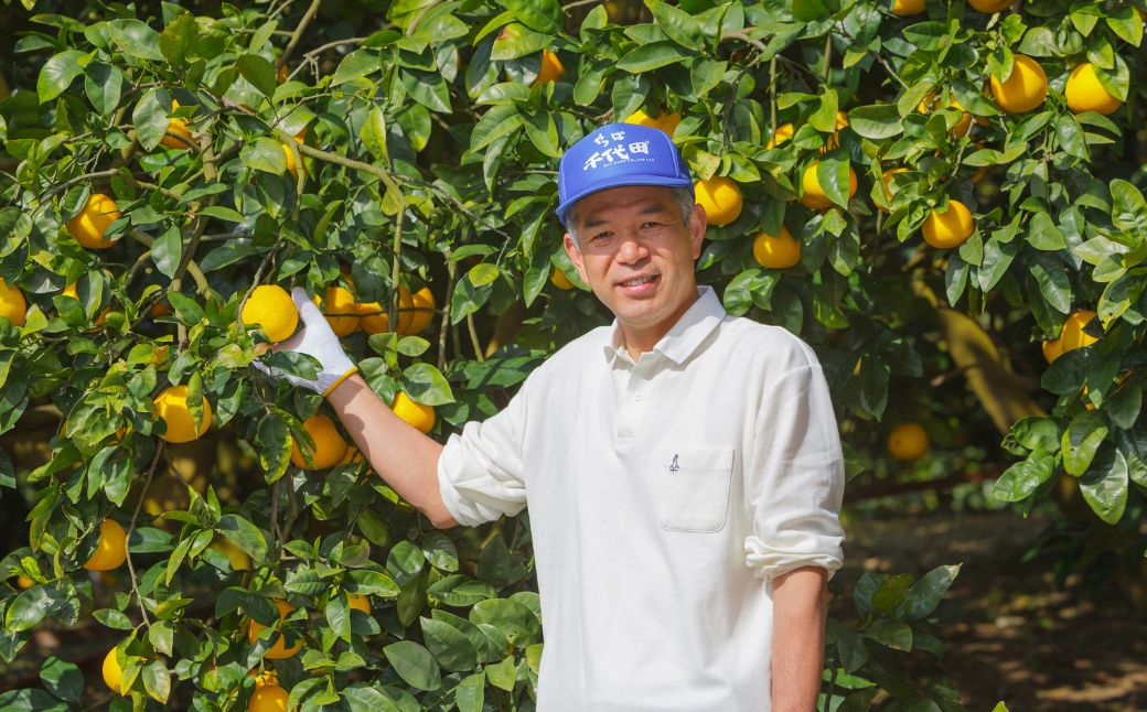 【先行予約】【農家直送】愛媛県産 清見タンゴール 贈答用 4.5kg（2026年3月上旬～4月中旬頃発送予定） IKTC007