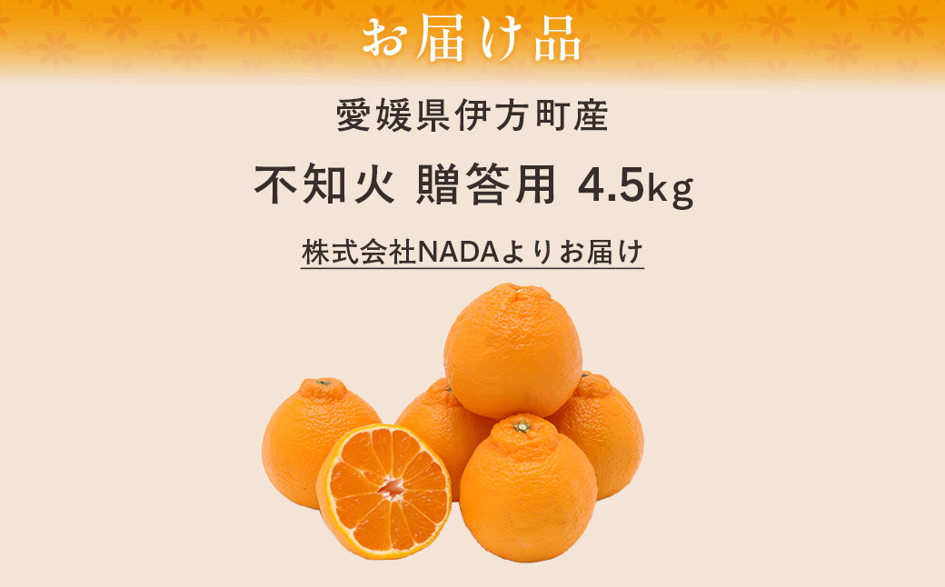 【先行予約】【農家直送】愛媛県産 不知火 贈答用 4.5kg （2026年2月下旬～3月下旬頃発送予定） IKTC008