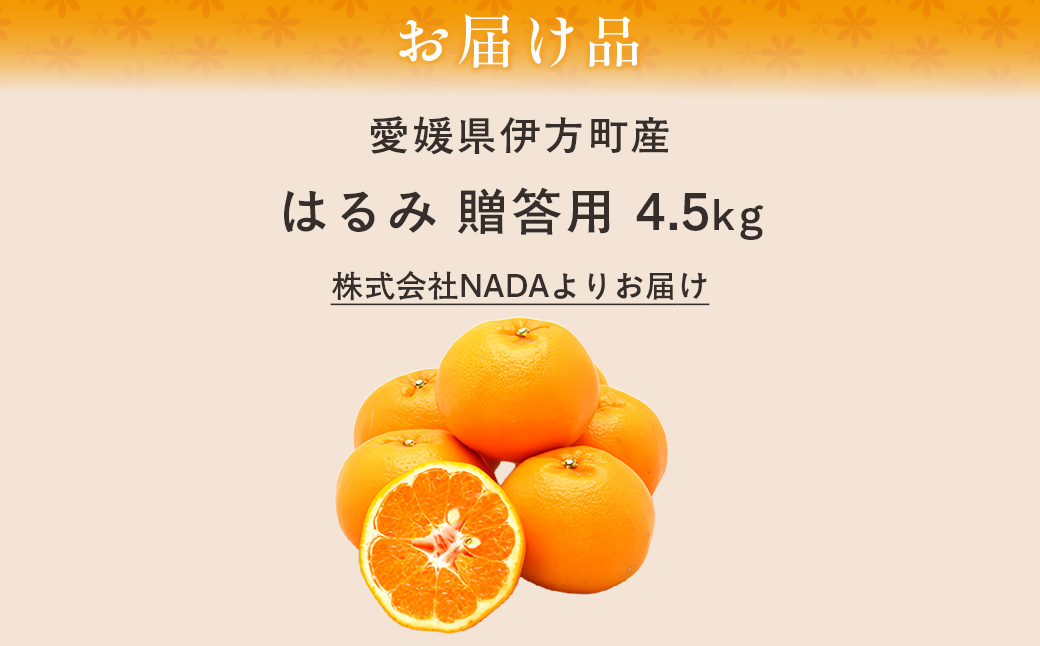 【先行予約】【農家直送】愛媛県産 はるみ 贈答用 4.5kg（2026年1月中旬～2月上旬頃発送予定） IKTC009