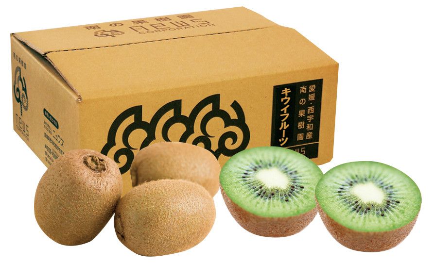【先行予約】キウイフルーツ（生果）3kg（2025年11月上旬より順次発送）  IKTF024