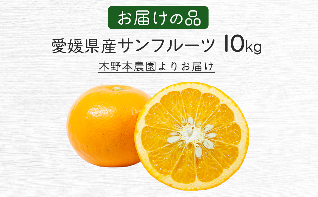【栽培期間中農薬不使用】【先行受付】【数量限定】農園直送！愛媛県産サンフルーツ 10kg （2026年4月上旬頃より順次発送） IKTG012
