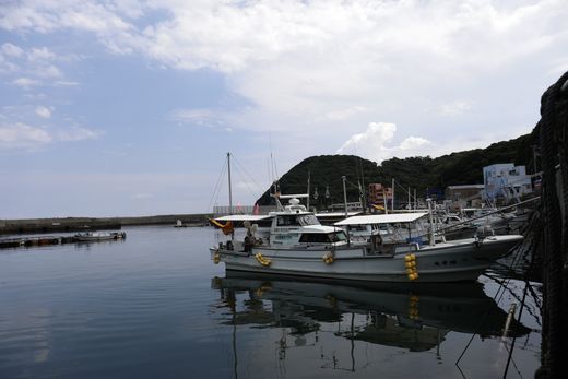 【数量限定】佐田岬海士の黒赤あわび【4/15～10/25の漁解禁日に合わせて発送】※北海道・東北地方・沖縄・離島への配送不可 IKTJ014