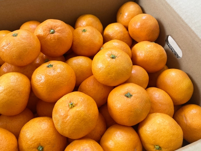 Saito Orange Farm 柑橘5kg + 愛媛・西宇和・佐田岬　土・日・祝日　限定一棟貸しゲストハウスHANARE Stay&Space佐田岬 素泊まり宿泊券（3名様分チケット） IKTAQ003