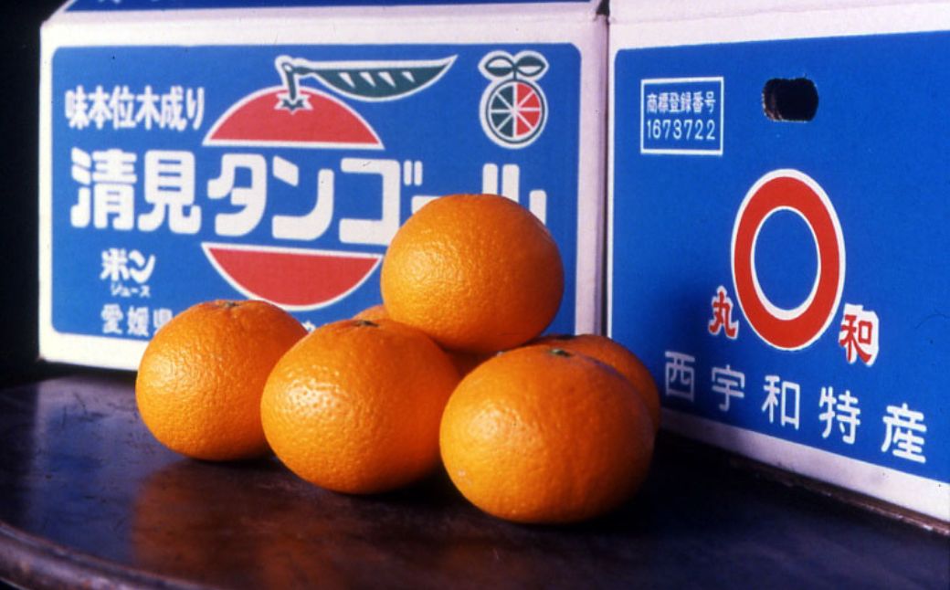 【先行予約】【数量限定】JAにしうわ みつる共選 清見タンゴール 約10kg ※離島への配送不可（2026年3月上旬より順次発送予定） IKTBC009