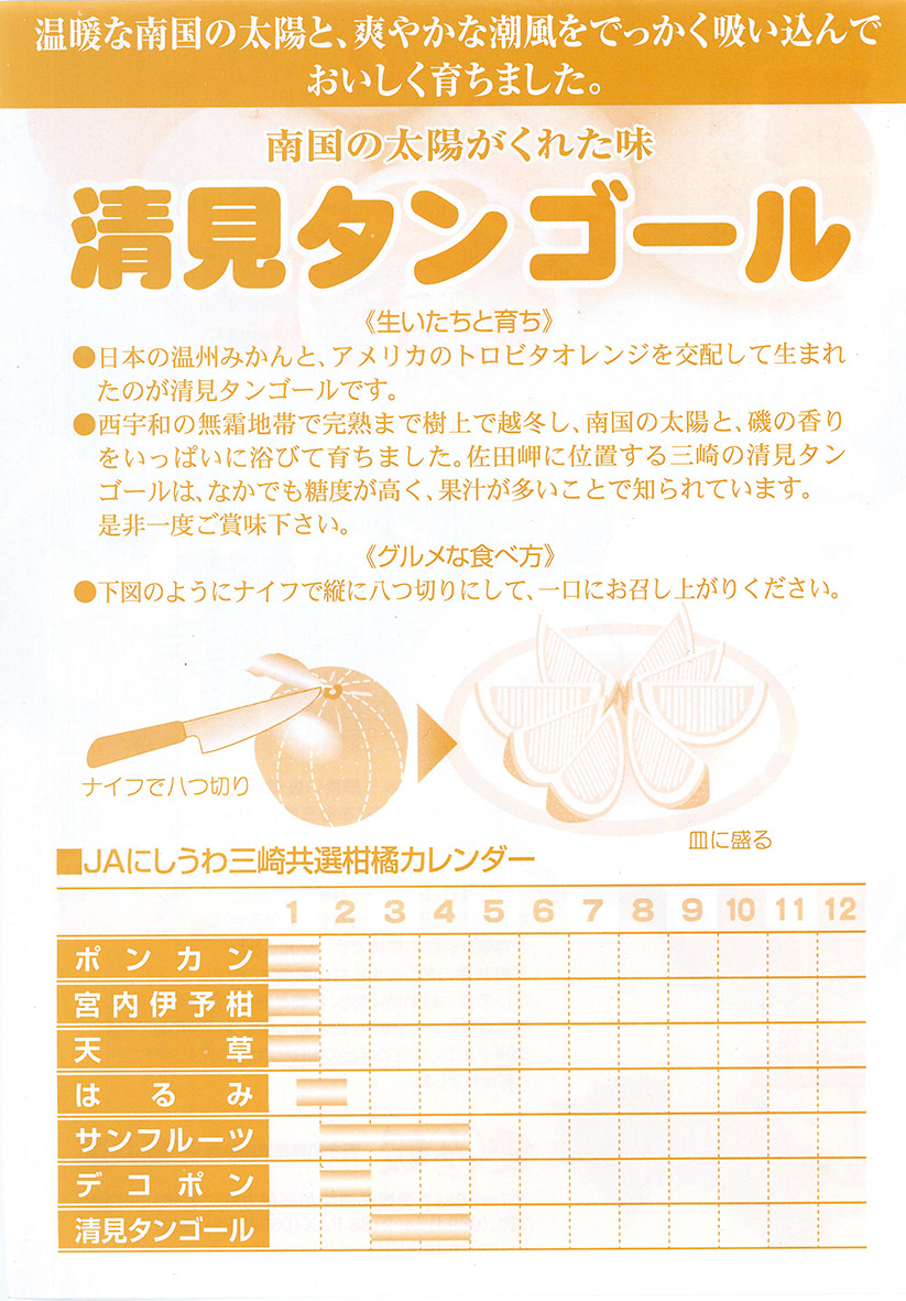 【先行予約】清見タンゴール（貯蔵・生果5kg）※離島への配送不可（2026年4月下旬より順次発送予定） IKTBD007