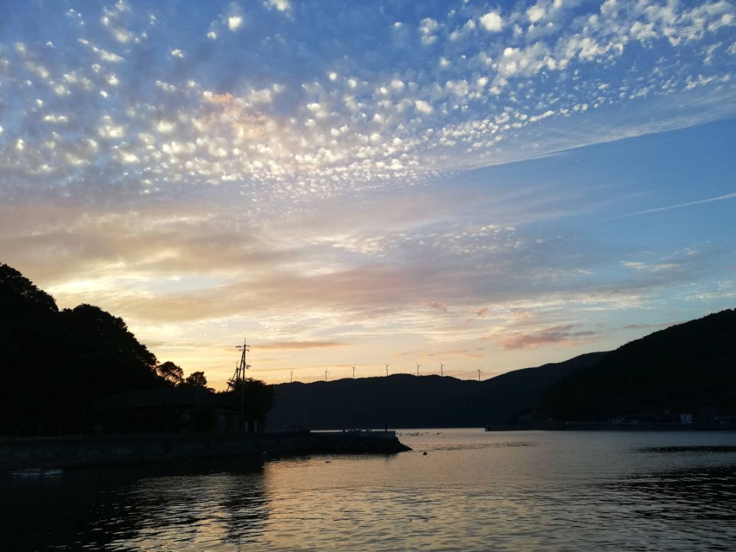 【栽培期間中農薬不使用】【先行受付】【数量限定】農園直送！愛媛県産サンフルーツ 5kg （2026年4月上旬頃より順次発送） IKTG011