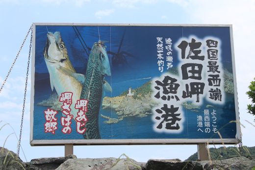 【数量限定】佐田岬海士のさざえ2kg ※北海道・東北地方・沖縄・離島への配送不可 IKTJ003