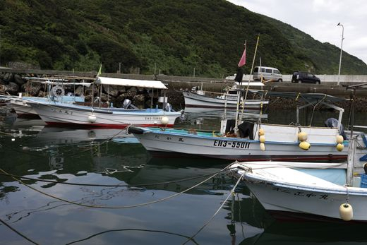 【数量限定】【匠の漁】伊勢えび・三崎アジ一夜干し特選セット（各2枚） IKTJ007